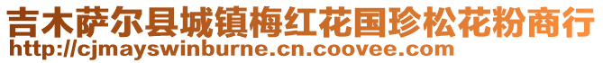 吉木萨尔县城镇梅红花国珍松花粉商行