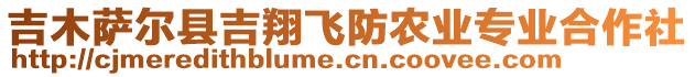 吉木薩爾縣吉翔飛防農(nóng)業(yè)專業(yè)合作社