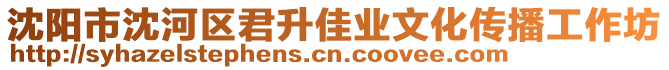 沈陽(yáng)市沈河區(qū)君升佳業(yè)文化傳播工作坊