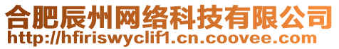 合肥辰州網(wǎng)絡(luò)科技有限公司