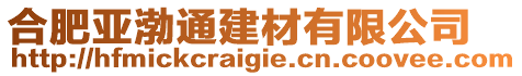 合肥亞渤通建材有限公司