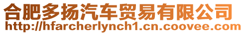 合肥多揚(yáng)汽車貿(mào)易有限公司