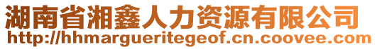 湖南省湘鑫人力資源有限公司