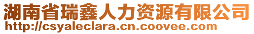 湖南省瑞鑫人力資源有限公司