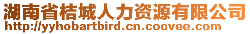 湖南省桔城人力資源有限公司