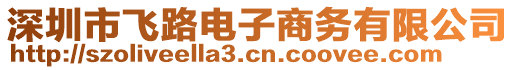 深圳市飛路電子商務有限公司