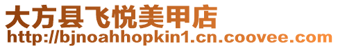 大方縣飛悅美甲店