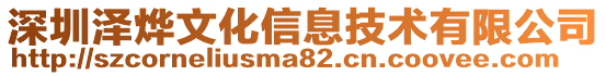 深圳澤燁文化信息技術有限公司