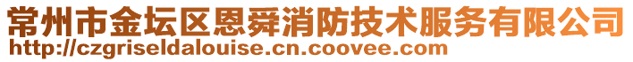 常州市金壇區恩舜消防技術服務有限公司