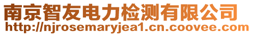 南京智友電力檢測有限公司