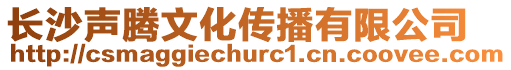 長沙聲騰文化傳播有限公司