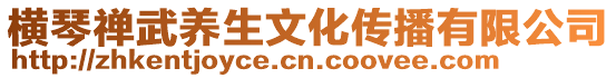 橫琴禪武養生文化傳播有限公司