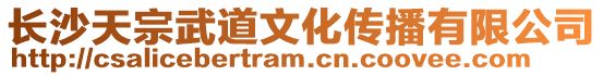 長沙天宗武道文化傳播有限公司