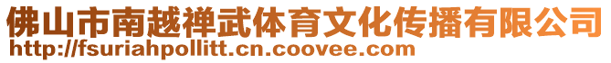 佛山市南越禪武體育文化傳播有限公司