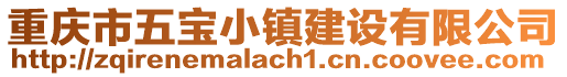 重慶市五寶小鎮建設有限公司