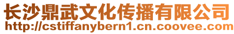長沙鼎武文化傳播有限公司