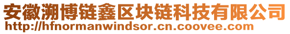 安徽溯博鏈鑫區塊鏈科技有限公司