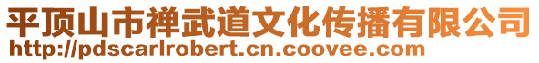 平頂山市禪武道文化傳播有限公司
