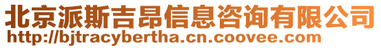 北京派斯吉昂信息咨詢有限公司