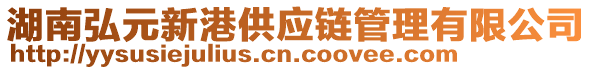 湖南弘元新港供應鏈管理有限公司