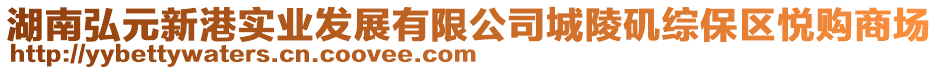 湖南弘元新港實業發展有限公司城陵磯綜保區悅購商場