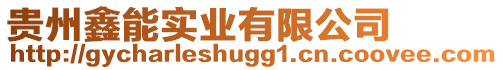 貴州鑫能實業有限公司