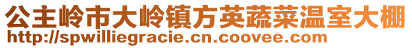 公主嶺市大嶺鎮(zhèn)方英蔬菜溫室大棚