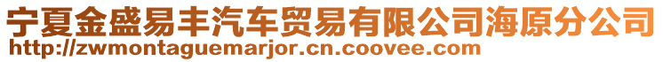 寧夏金盛易豐汽車貿(mào)易有限公司海原分公司