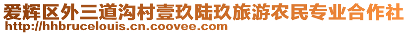 愛輝區(qū)外三道溝村壹玖陸玖旅游農(nóng)民專業(yè)合作社