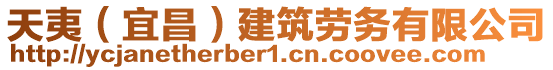 天夷（宜昌）建筑勞務(wù)有限公司