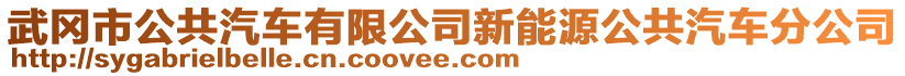 武岡市公共汽車有限公司新能源公共汽車分公司