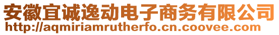 安徽宜誠逸動電子商務(wù)有限公司