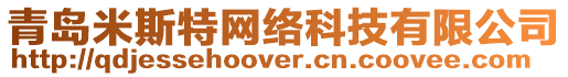 青島米斯特網(wǎng)絡(luò)科技有限公司