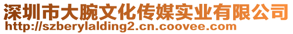 深圳市大腕文化傳媒實(shí)業(yè)有限公司