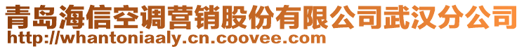 青島海信空調(diào)營(yíng)銷股份有限公司武漢分公司