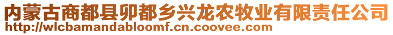 內(nèi)蒙古商都縣卯都鄉(xiāng)興龍農(nóng)牧業(yè)有限責(zé)任公司