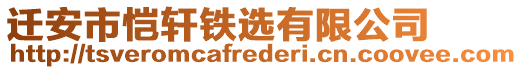 遷安市愷軒鐵選有限公司