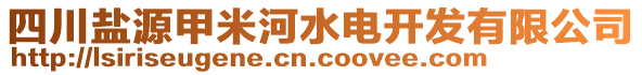 四川鹽源甲米河水電開發(fā)有限公司