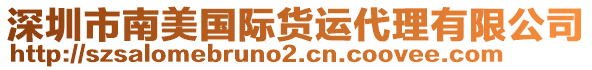 深圳市南美國際貨運(yùn)代理有限公司