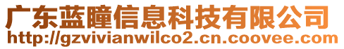 廣東藍(lán)瞳信息科技有限公司