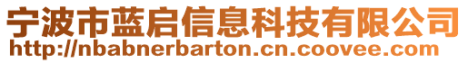 寧波市藍(lán)啟信息科技有限公司