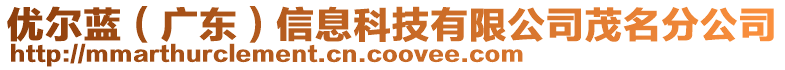 優(yōu)爾藍(lán)(廣東)信息科技有限公司茂名分公司