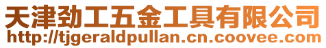 天津勁工五金工具有限公司