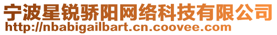 寧波星銳驕陽網絡科技有限公司