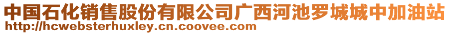 中國石化銷售股份有限公司廣西河池羅城城中加油站