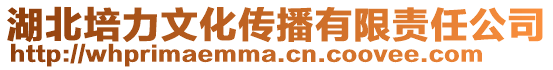 湖北培力文化傳播有限責(zé)任公司