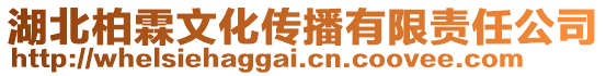 湖北柏霖文化傳播有限責(zé)任公司