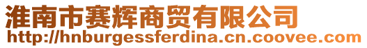 淮南市賽輝商貿有限公司