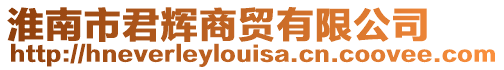 淮南市君輝商貿有限公司