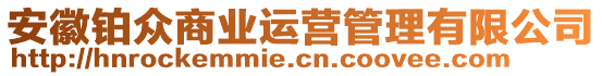 安徽鉑眾商業(yè)運(yùn)營管理有限公司